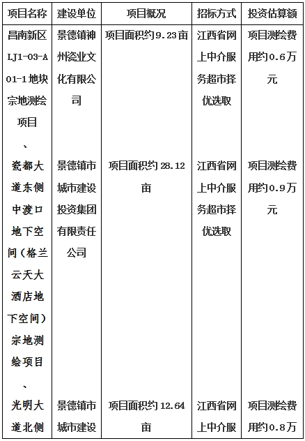 景德鎮(zhèn)市昌南新區(qū)LJ1-03-A01-1地塊、瓷都大道東側(cè)中渡口地下空間（格蘭云天大酒店地下空間）、光明大道北側(cè)利民路西側(cè)地下空間（青少年宮地下空間）、規(guī)劃二路北側(cè)地下空間地塊二（加速基地地下空間）、規(guī)劃二路北側(cè)地下空間地塊一（加速基地地下空間）、景德大道南側(cè)天寶橋西側(cè)地塊、景興大道東側(cè)如意路北側(cè)地下空間(社會公共服務