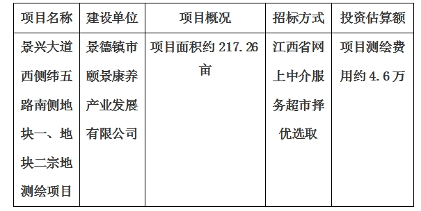 景興大道西側(cè)緯五路南側(cè)地塊一、地塊二宗地